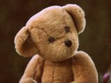 brown bear plush toy