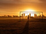 silhouette of person standing on field during sunset