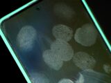 Smudged smartphone screen with fingerprints