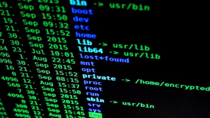 Linux dla początkujących: Jak efektywnie zarządzać plikami i folderami z terminala? Podstawowe komendy