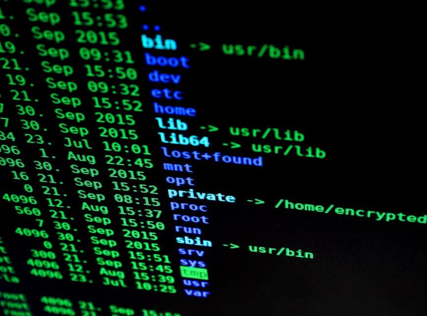 Linux dla początkujących: Jak efektywnie zarządzać plikami i folderami z terminala? Podstawowe komendy