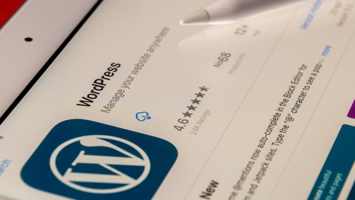 Tworzenie własnych wtyczek do WordPressa od podstaw – Praktyczny poradnik dla blogerów i twórców stron (Kategorie: WordPress, Programowanie, Porady ogólne)