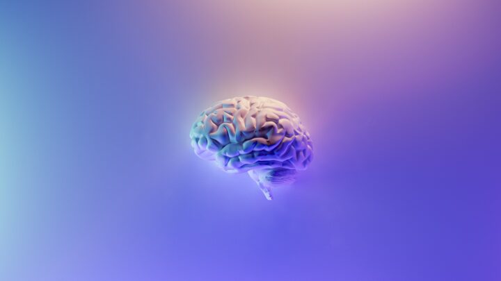 Jak komputer wpływa na mózg?