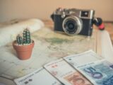 selective focus photography of cactus plant and banknote on table